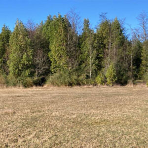 Proyecto Parcelas Puerto Octay