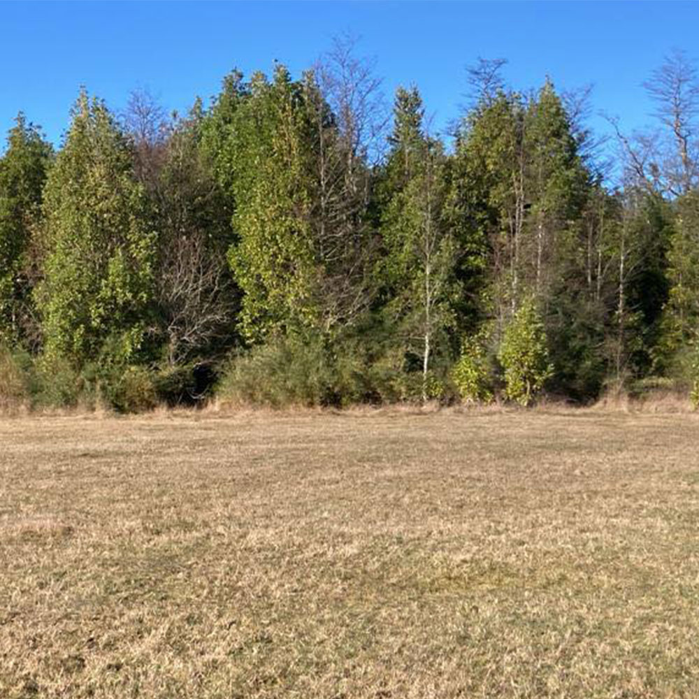 Proyecto Parcelas Puerto Octay