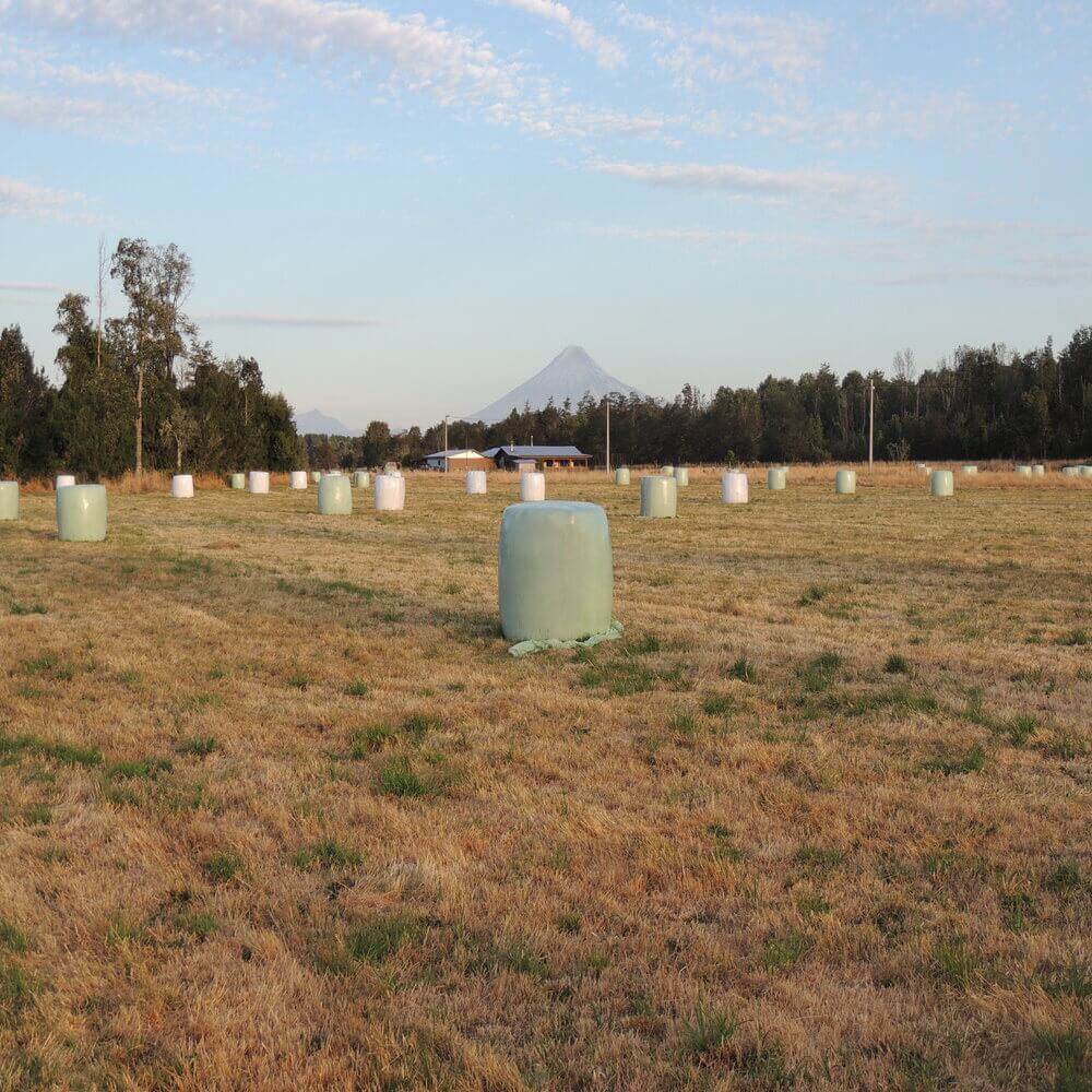 Parcela en Puerto Octay - Imagen 2