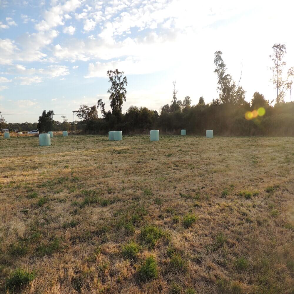 Parcela en Puerto Octay - Imagen 8