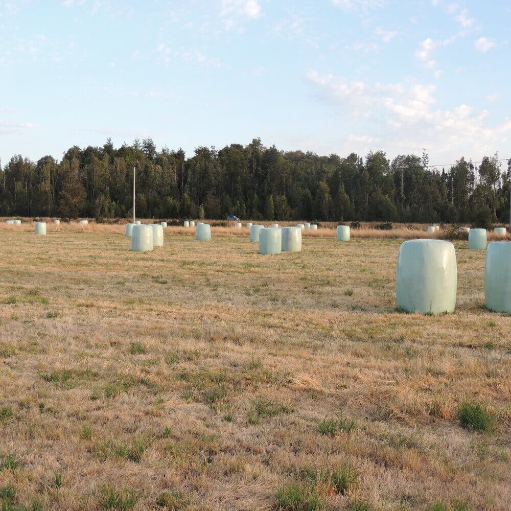 Parcela en Puerto Octay