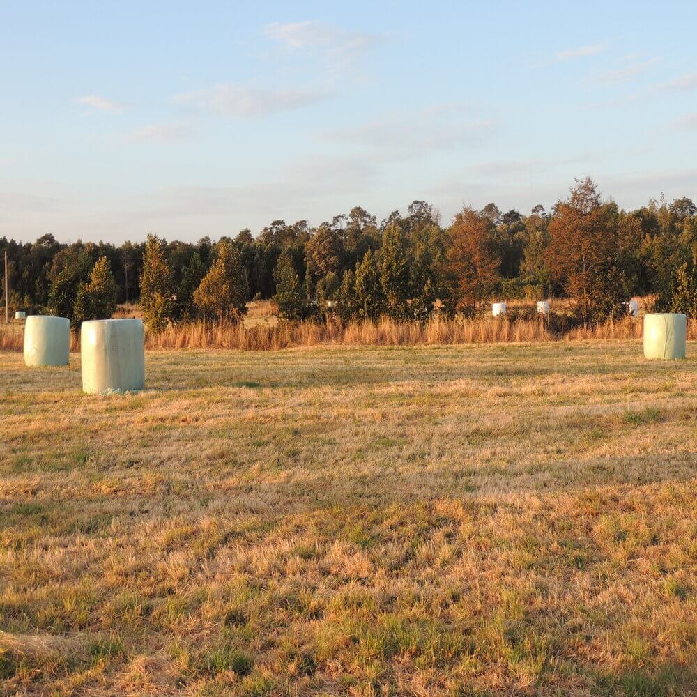 Parcela en Puerto Octay - Imagen 3