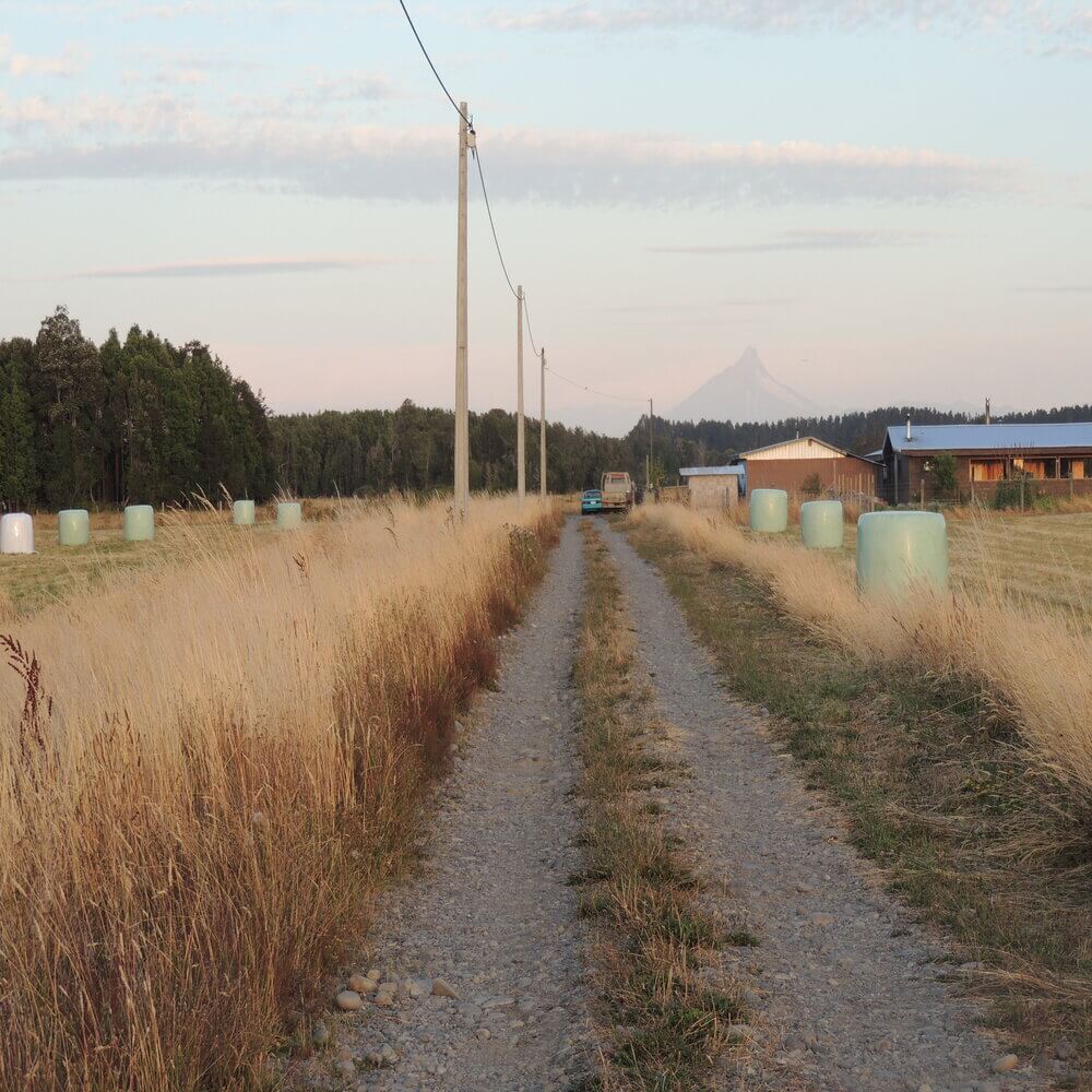 Parcela en Puerto Octay - Imagen 4