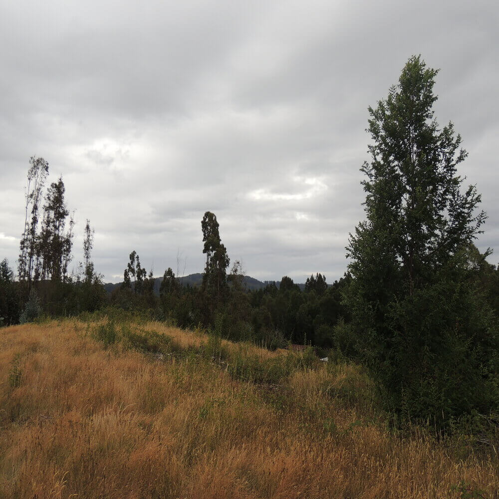 Campo Agrícola en San Juan de la Costa - Imagen 2