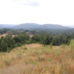 Campo Agrícola en San Juan de la Costa