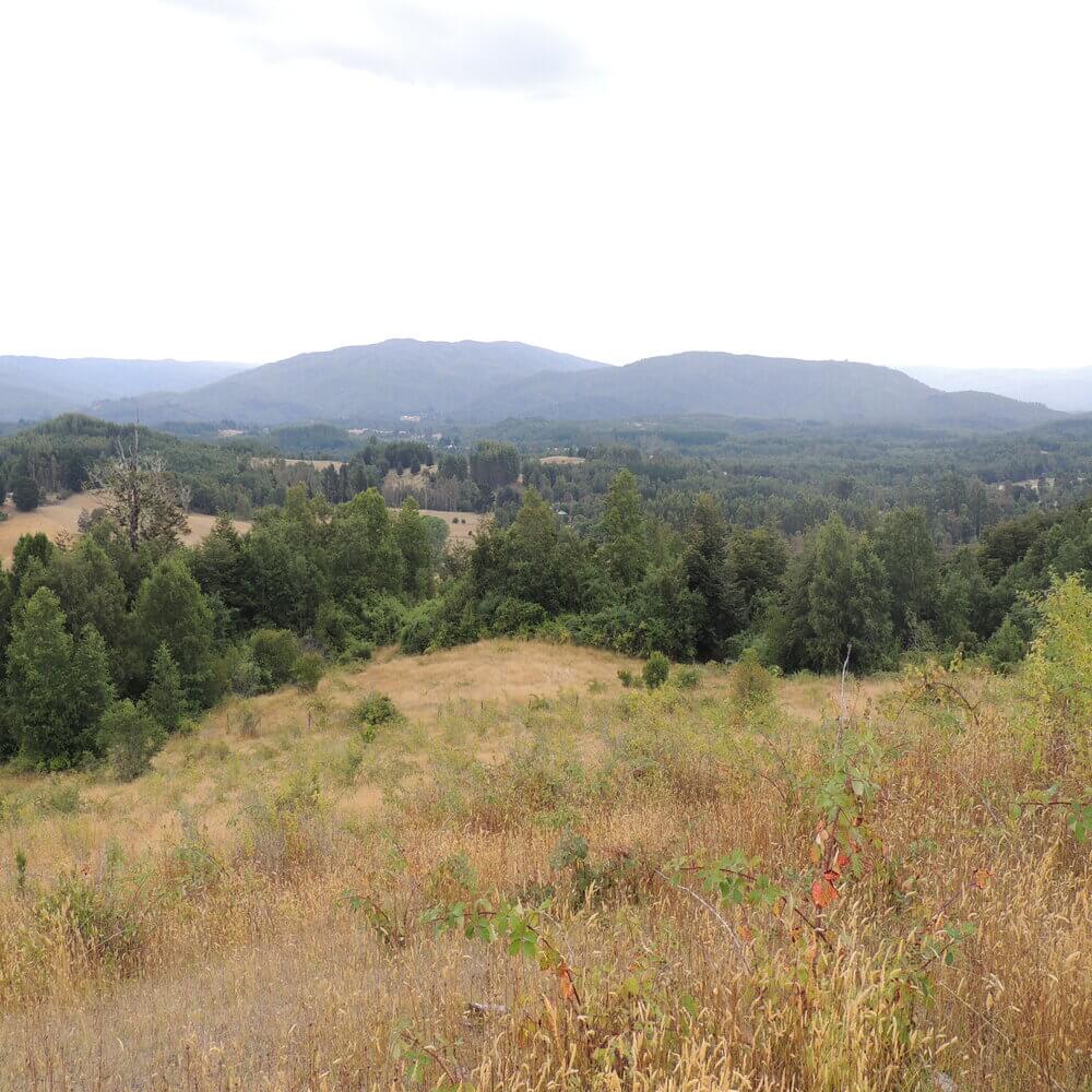 Campo Agrícola en San Juan de la Costa