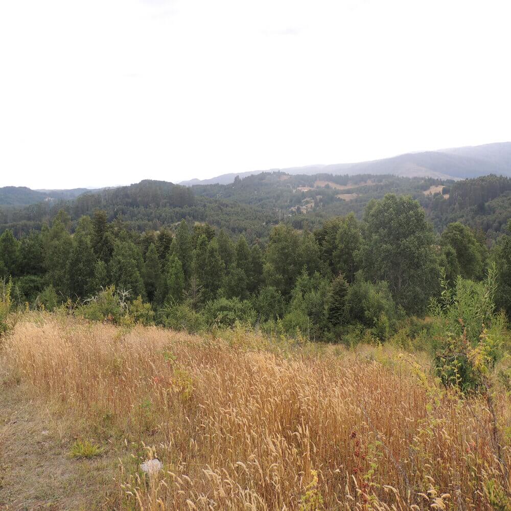 Campo Agrícola en San Juan de la Costa - Imagen 4