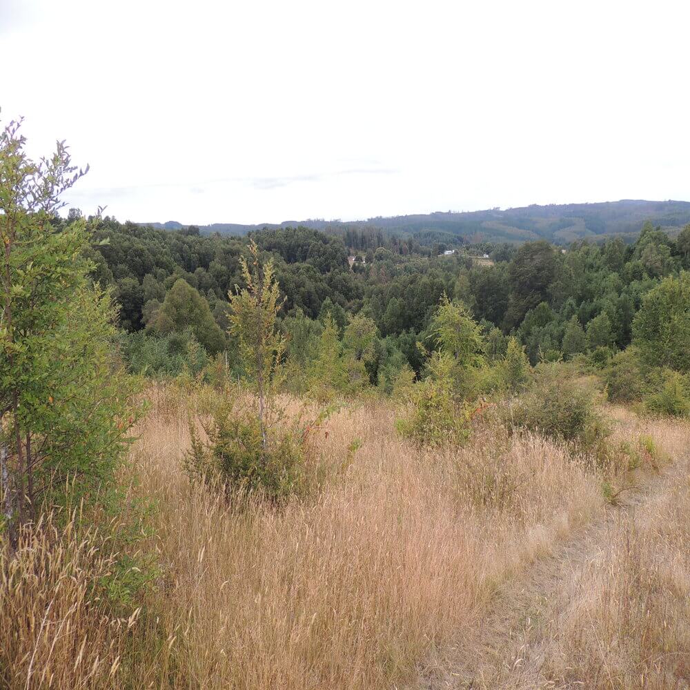 Campo Agrícola en San Juan de la Costa - Imagen 5