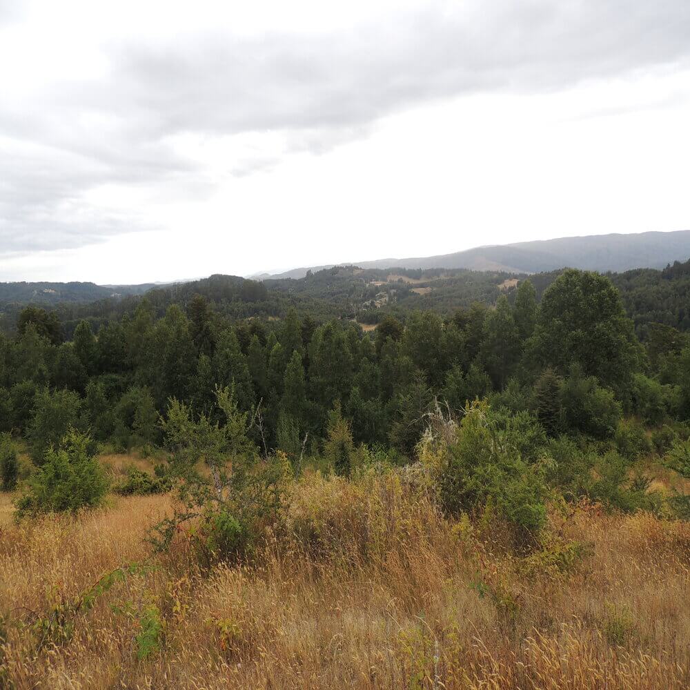 Campo Agrícola en San Juan de la Costa - Imagen 6