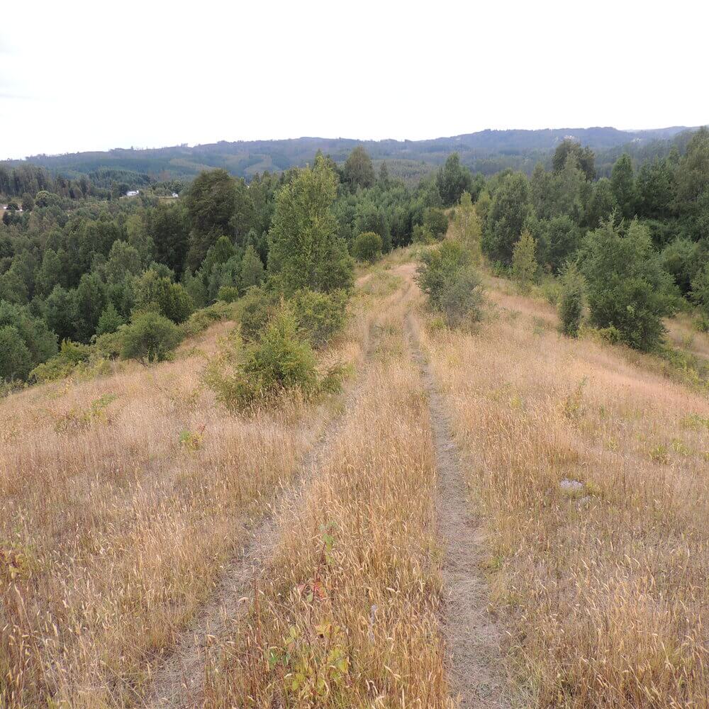 Campo Agrícola en San Juan de la Costa - Imagen 22