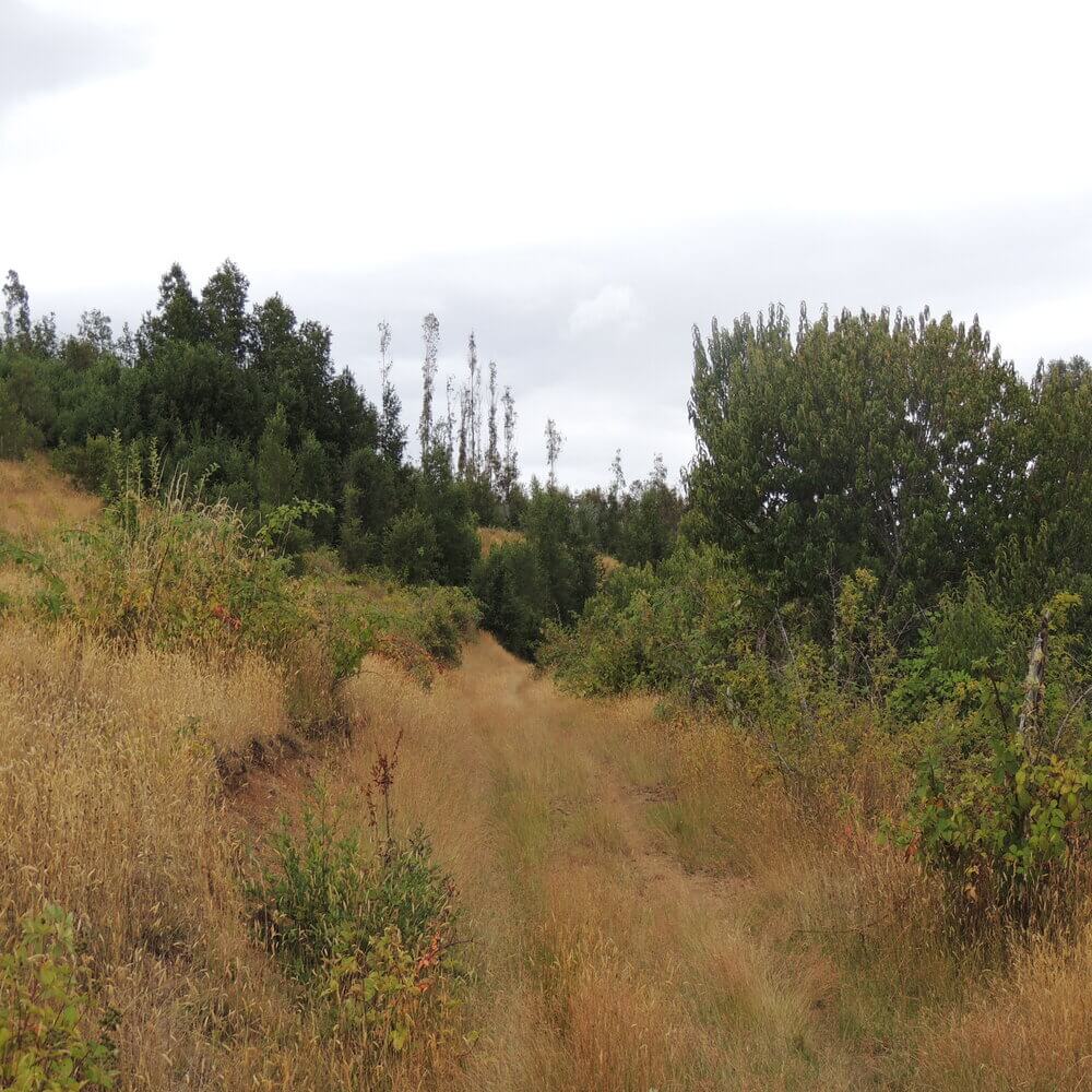 Campo Agrícola en San Juan de la Costa - Imagen 19