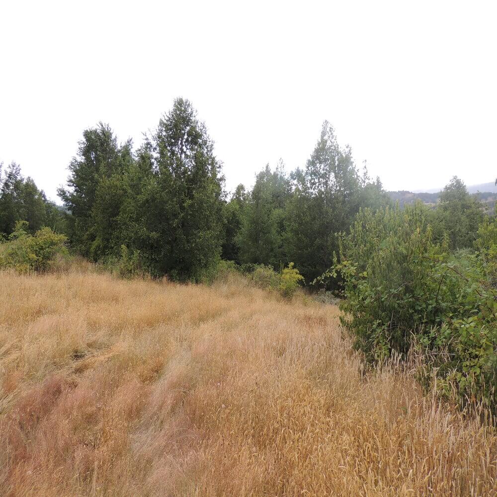 Campo Agrícola en San Juan de la Costa - Imagen 18