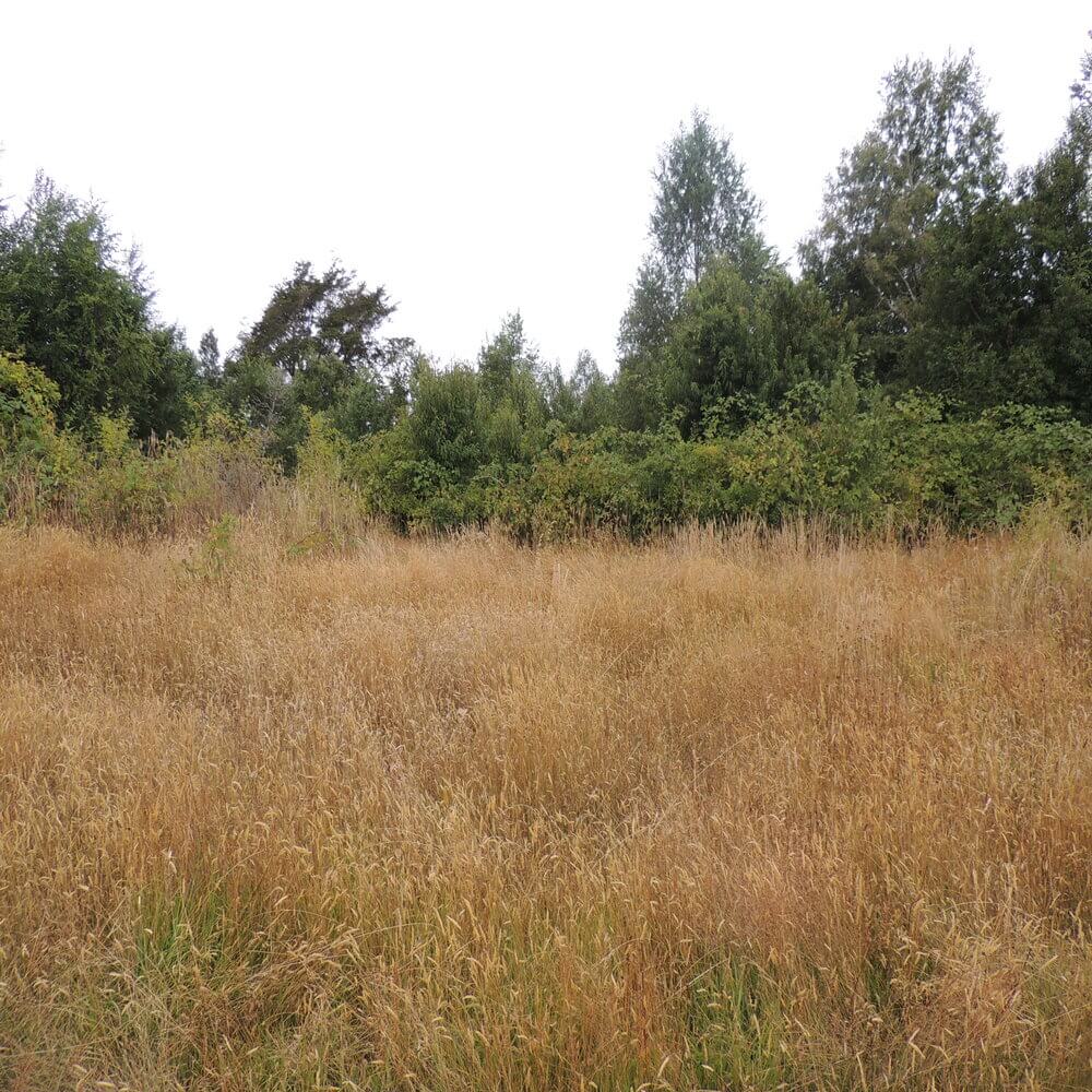 Campo Agrícola en San Juan de la Costa - Imagen 16