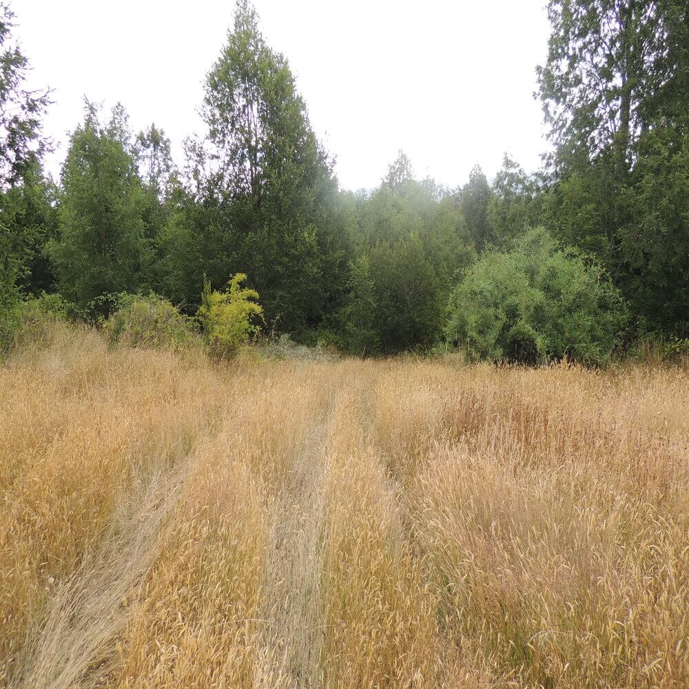 Campo Agrícola en San Juan de la Costa - Imagen 14