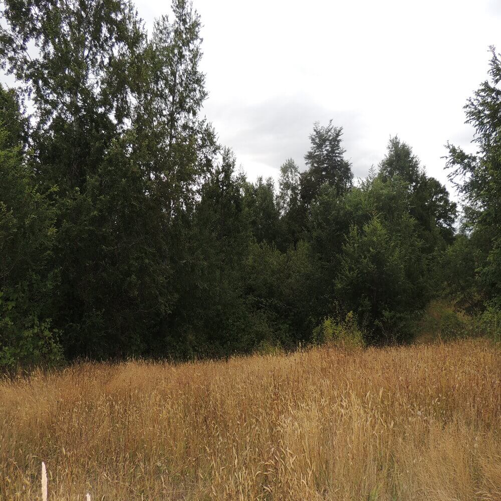 Campo Agrícola en San Juan de la Costa - Imagen 12
