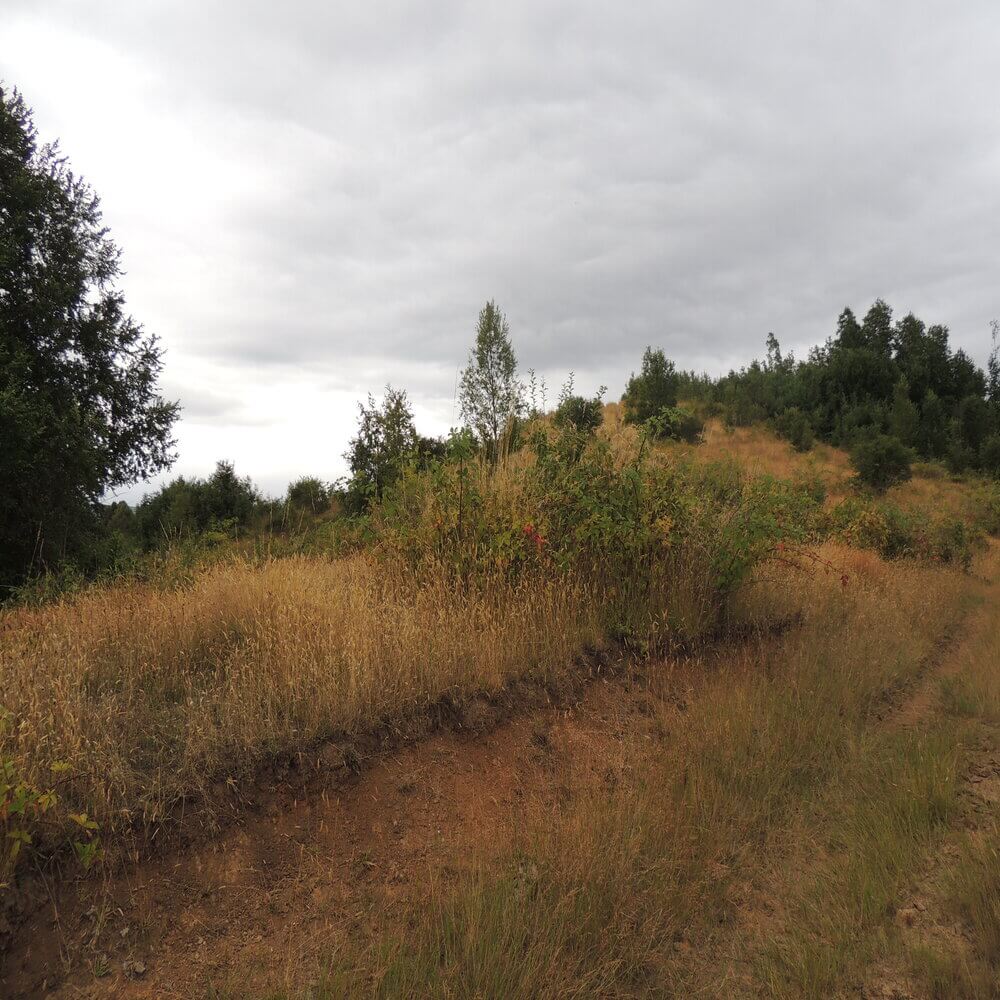 Campo Agrícola en San Juan de la Costa - Imagen 9