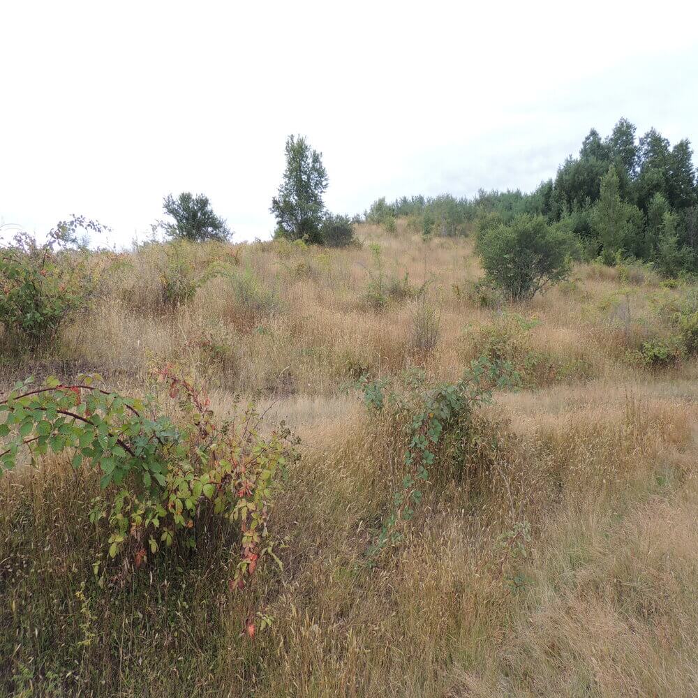 Campo Agrícola en San Juan de la Costa - Imagen 21