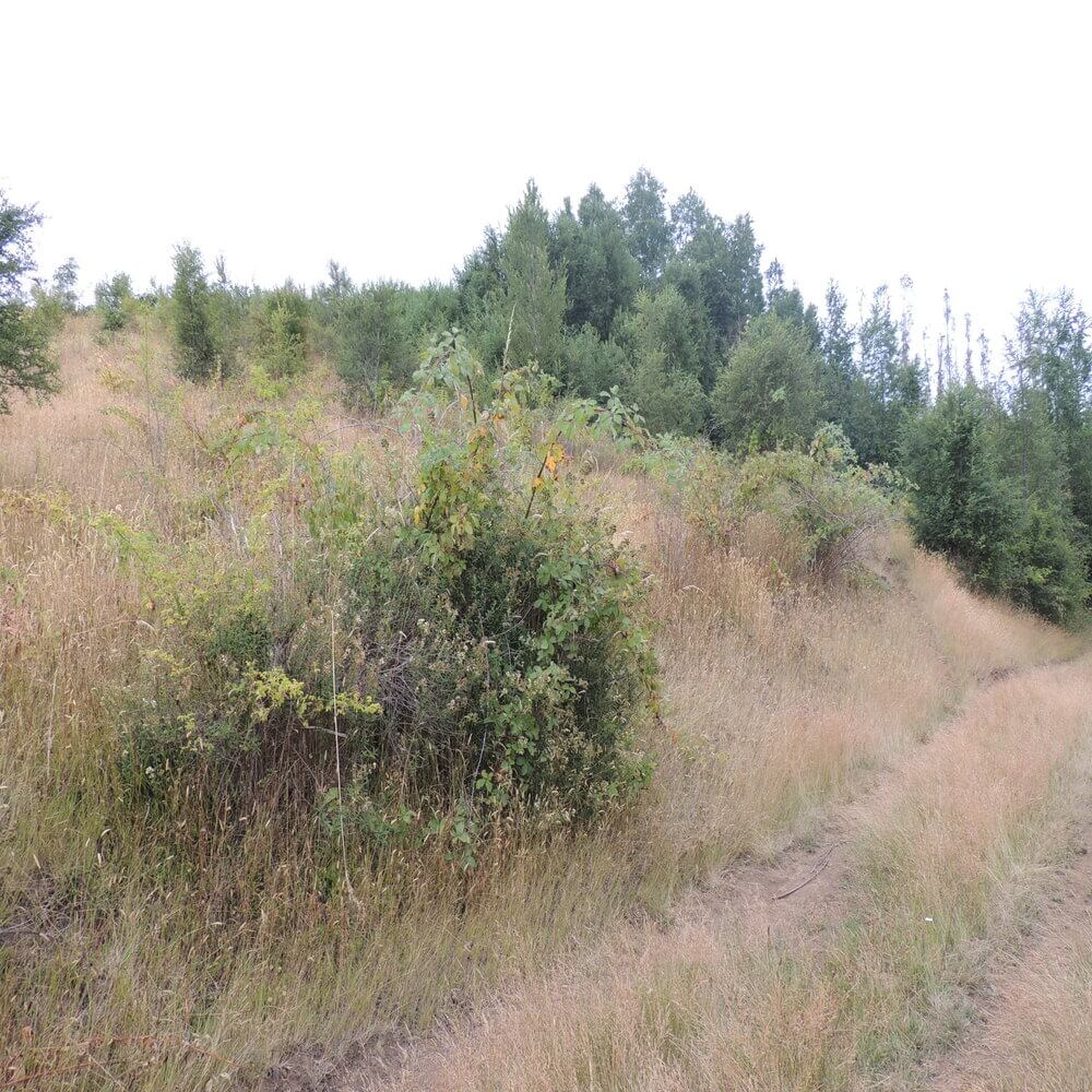 Campo Agrícola en San Juan de la Costa - Imagen 20