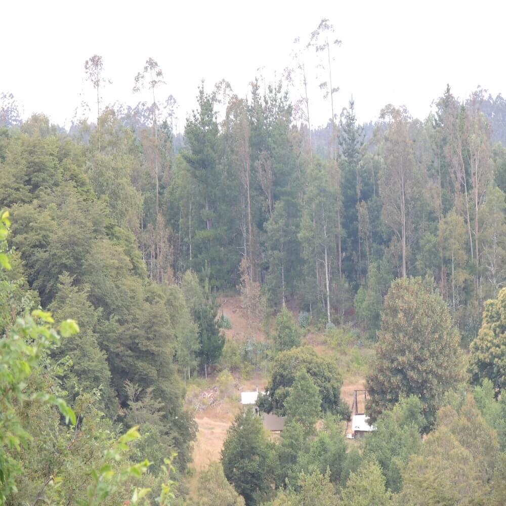 Campo Agrícola en San Juan de la Costa - Imagen 17