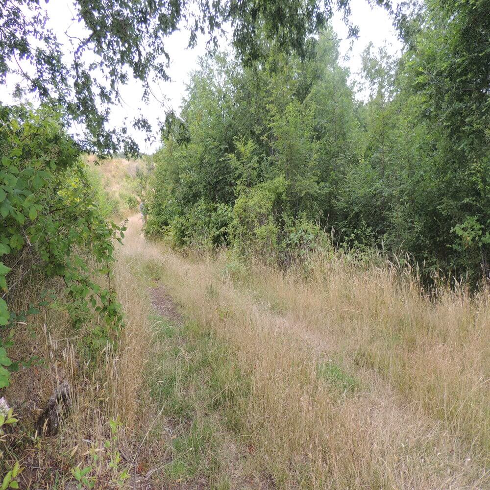 Campo Agrícola en San Juan de la Costa - Imagen 13
