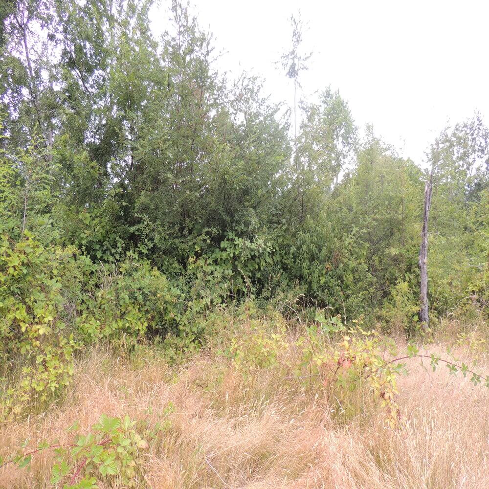 Campo Agrícola en San Juan de la Costa - Imagen 11