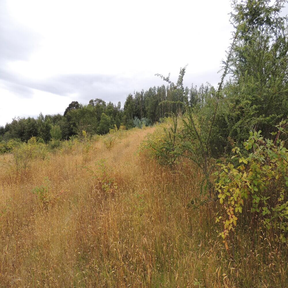 Campo Agrícola en San Juan de la Costa - Imagen 10