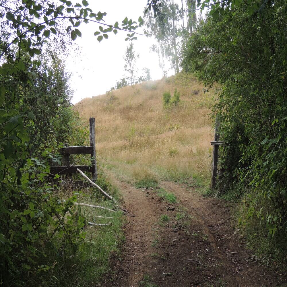 Campo Agrícola en San Juan de la Costa - Imagen 7