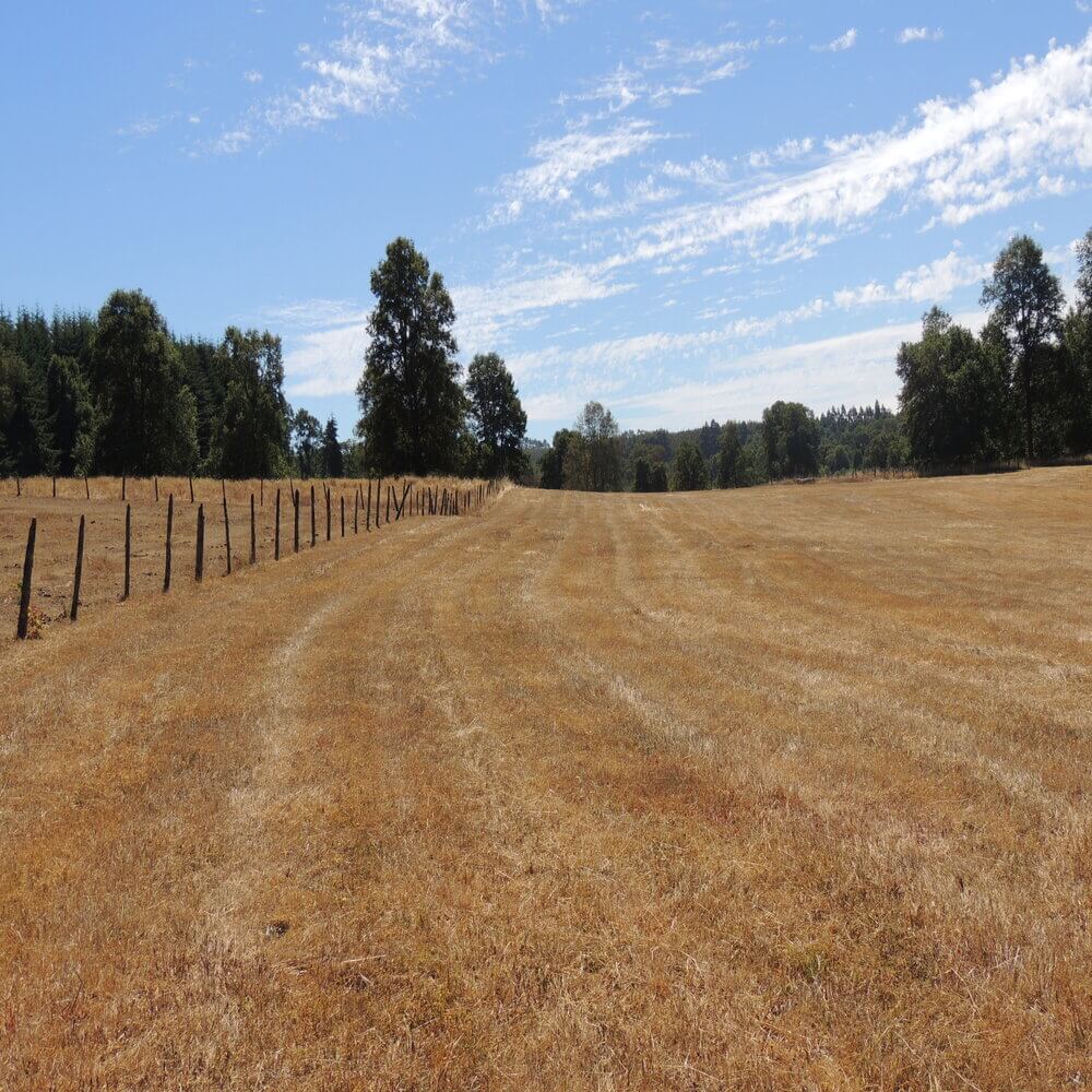 Campo Agrícola Sector la Naranja, Purranque - Imagen 4