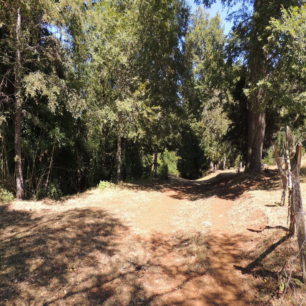 Campo Agrícola Sector la Naranja, Purranque - Imagen 3