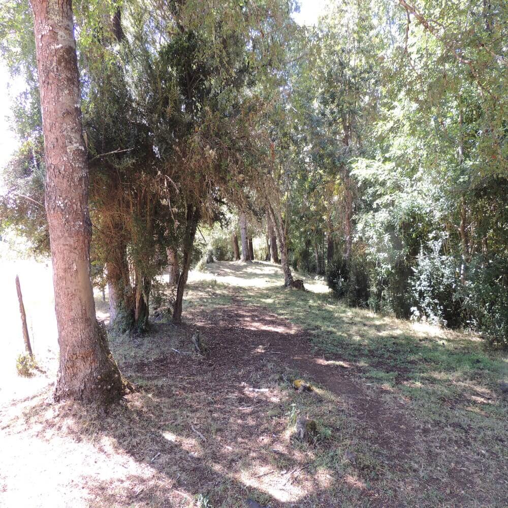 Campo Agrícola Sector la Naranja, Purranque - Imagen 2