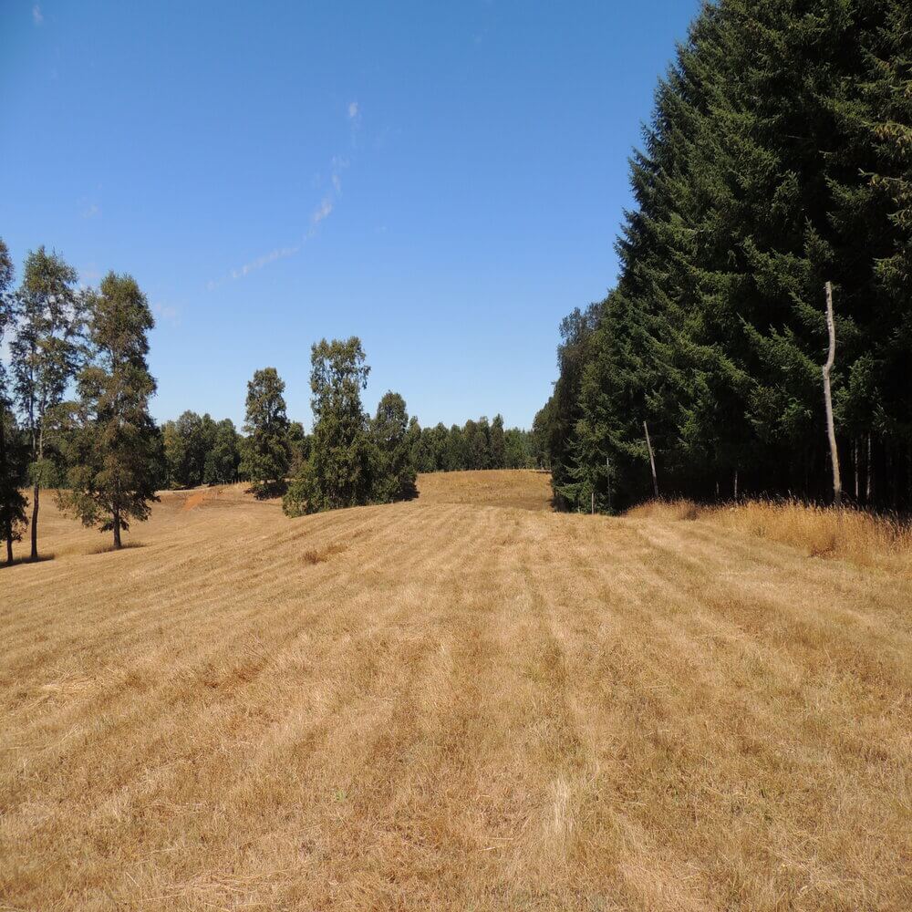Campo Agrícola Sector la Naranja, Purranque - Imagen 9