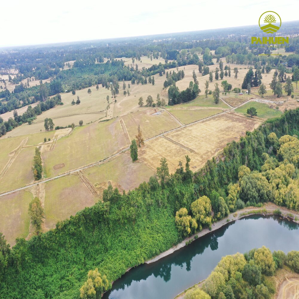Parcelación Cancura – Naturaleza y conectividad a solo 20 minutos de Osorno - Imagen 16