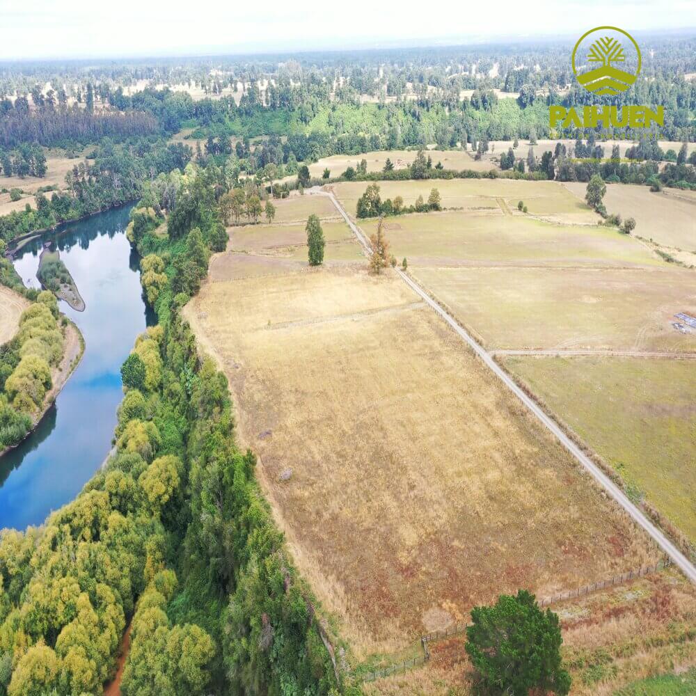 Parcelación Cancura – Naturaleza y conectividad a solo 20 minutos de Osorno - Imagen 14