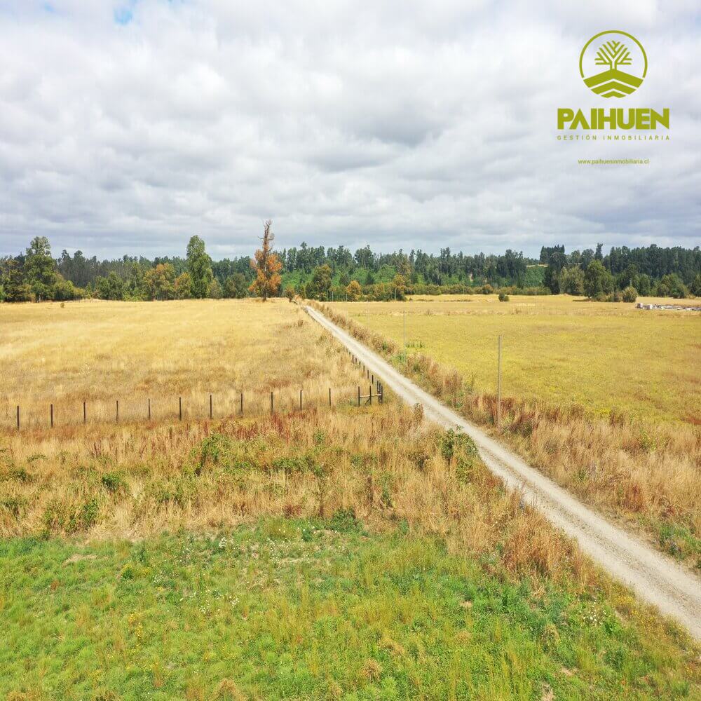 Parcelación Cancura – Naturaleza y conectividad a solo 20 minutos de Osorno - Imagen 13