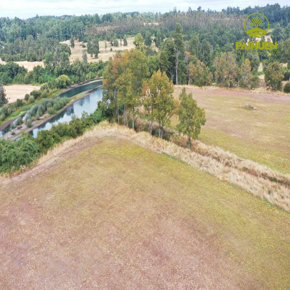 Parcelación Cancura – Naturaleza y conectividad a solo 20 minutos de Osorno - Imagen 11