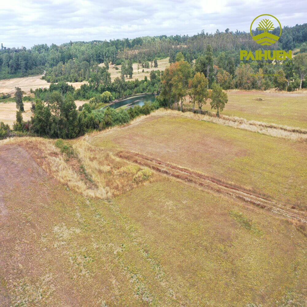 Parcelación Cancura – Naturaleza y conectividad a solo 20 minutos de Osorno - Imagen 10