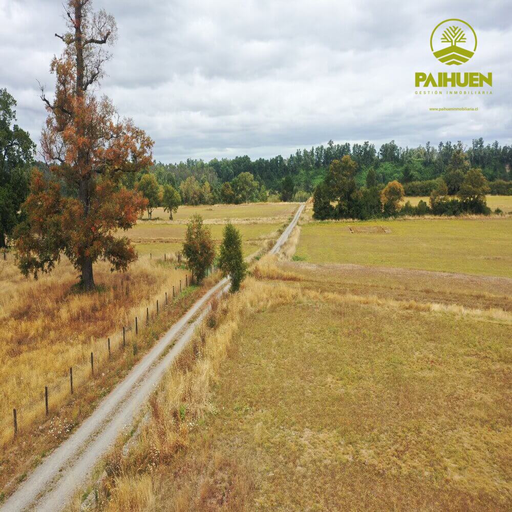 Parcelación Cancura – Naturaleza y conectividad a solo 20 minutos de Osorno - Imagen 9