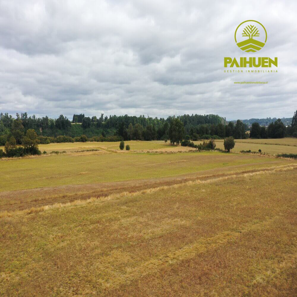 Parcelación Cancura – Naturaleza y conectividad a solo 20 minutos de Osorno - Imagen 8