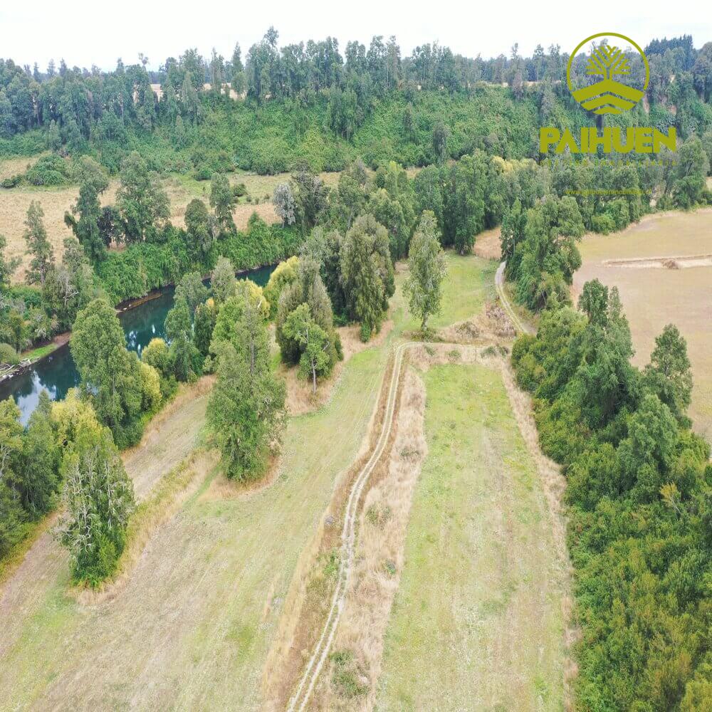 Parcelación Cancura – Naturaleza y conectividad a solo 20 minutos de Osorno - Imagen 7