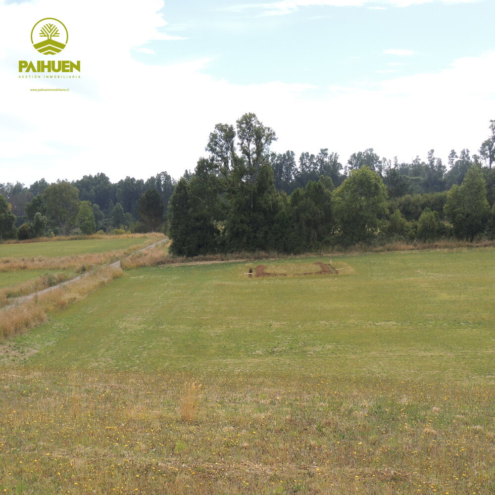 Parcelación Cancura – Naturaleza y conectividad a solo 20 minutos de Osorno - Imagen 6