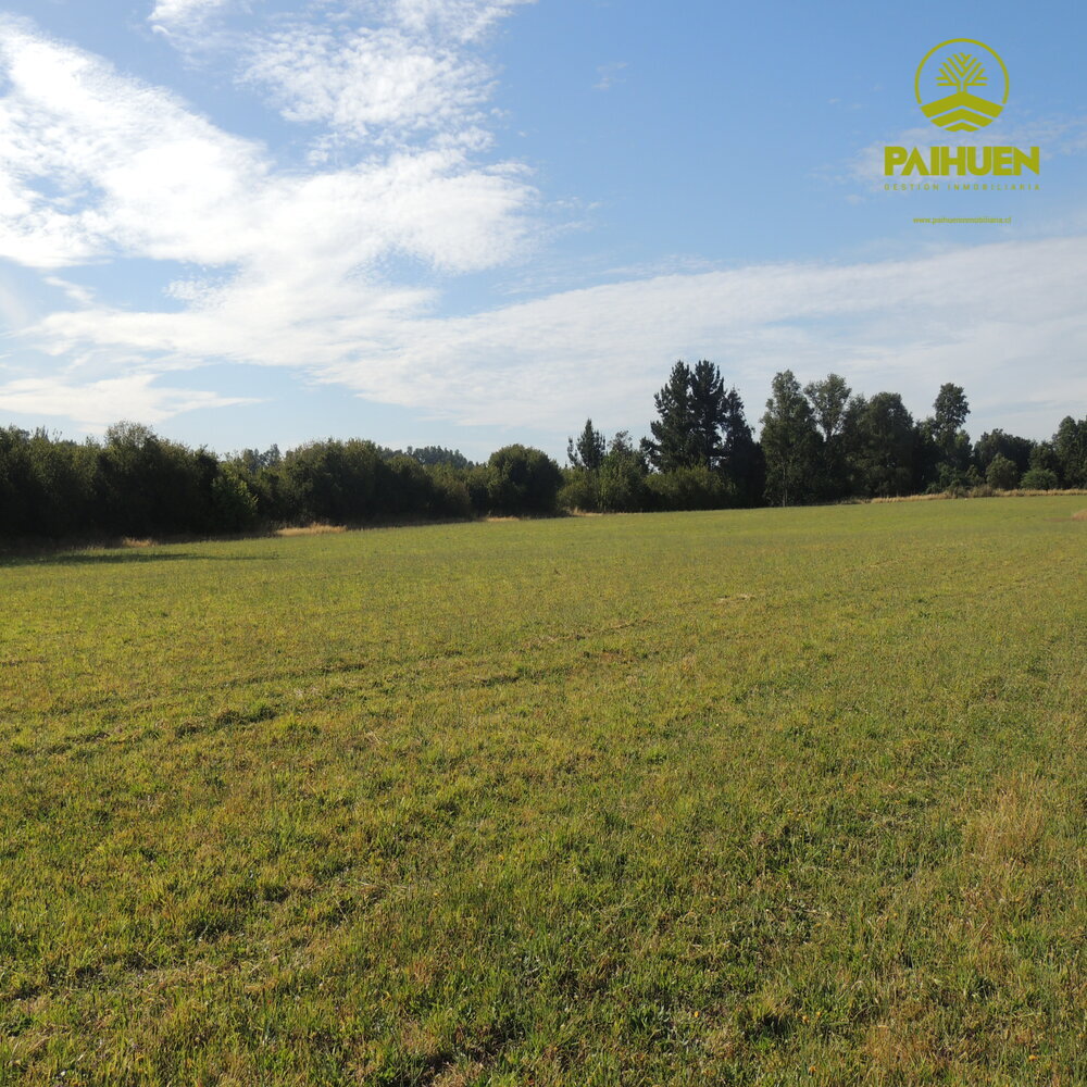 Parcelación Cancura – Naturaleza y conectividad a solo 20 minutos de Osorno - Imagen 5