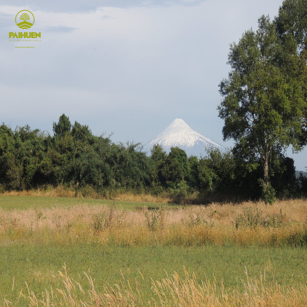 Parcelación Cancura – Naturaleza y conectividad a solo 20 minutos de Osorno - Imagen 2