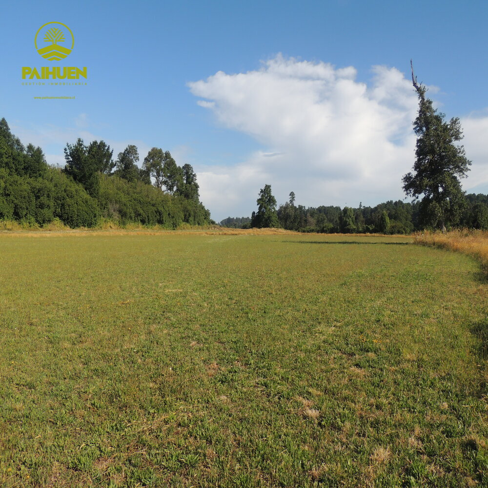 Parcelación Cancura – Naturaleza y conectividad a solo 20 minutos de Osorno - Imagen 3
