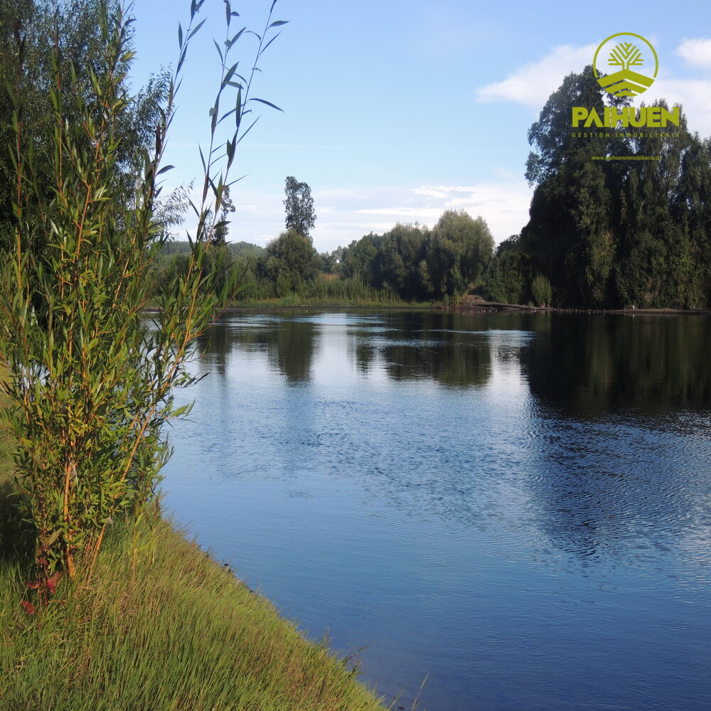 Parcelación Cancura – Naturaleza y conectividad a solo 20 minutos de Osorno - Imagen 4