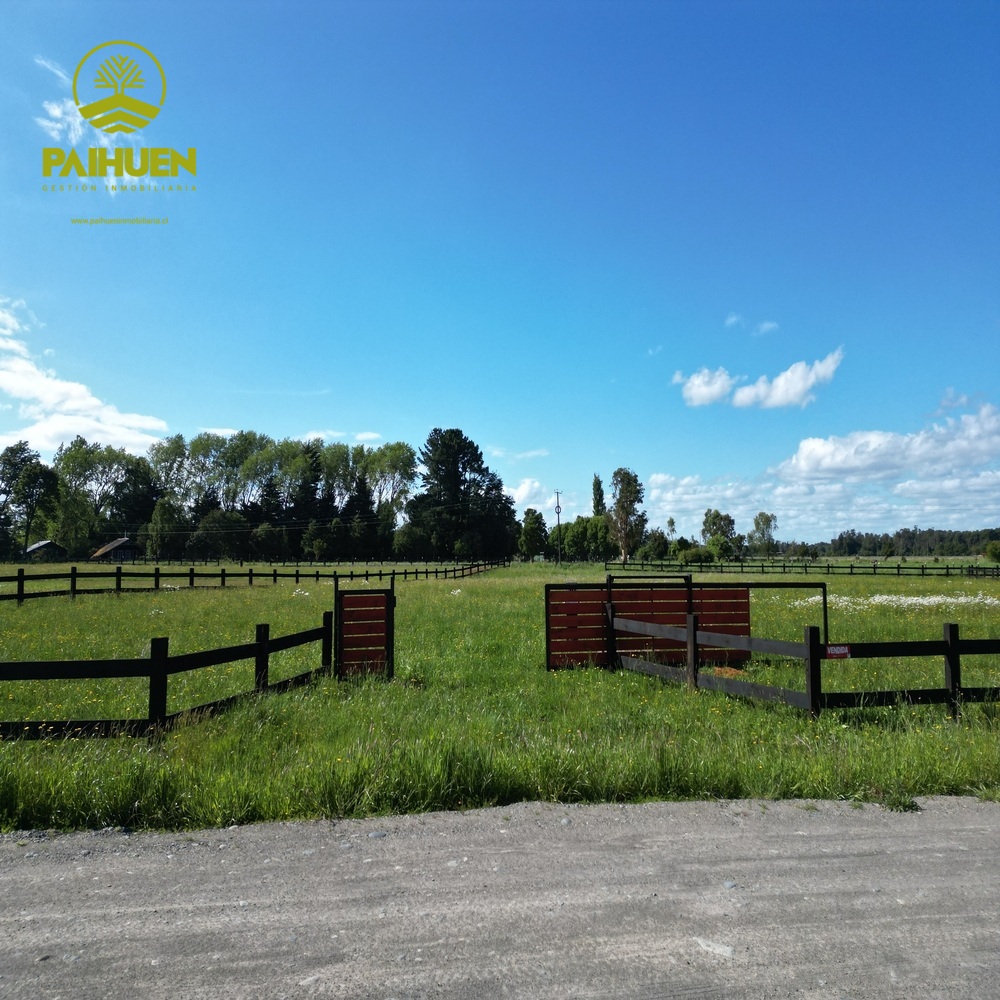 Vista Octay – Parcelas con ubicación privilegiada en el sur - Imagen 10