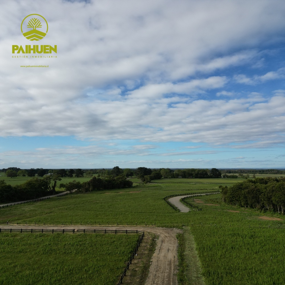 Vista Octay – Parcelas con ubicación privilegiada en el sur - Imagen 13