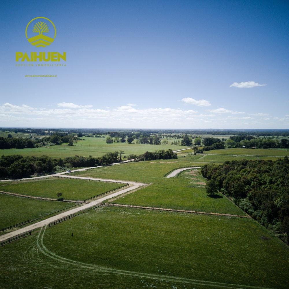 Vista Octay – Parcelas con ubicación privilegiada en el sur - Imagen 7