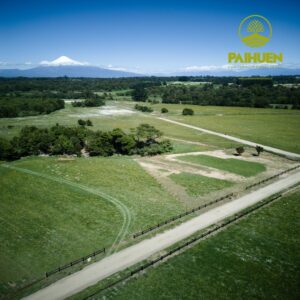 Vista Octay – Parcelas con ubicación privilegiada en el sur