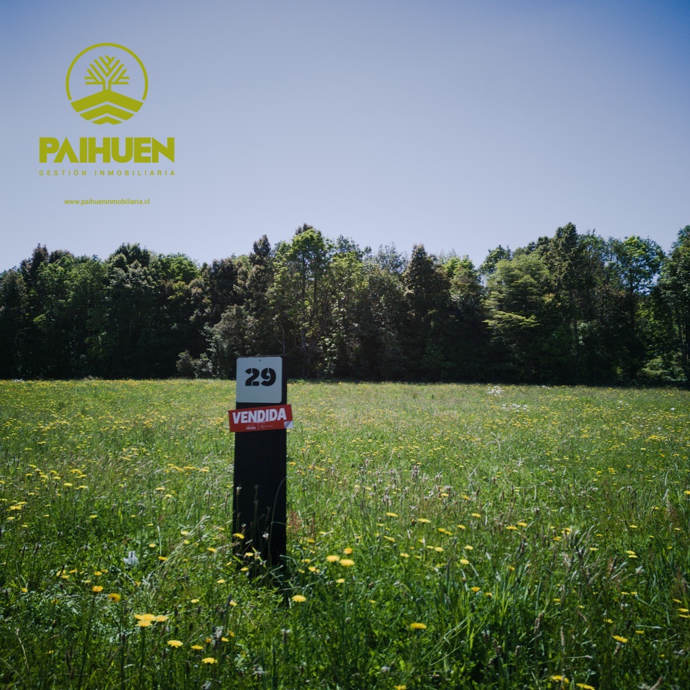 Vista Octay – Parcelas con ubicación privilegiada en el sur - Imagen 3