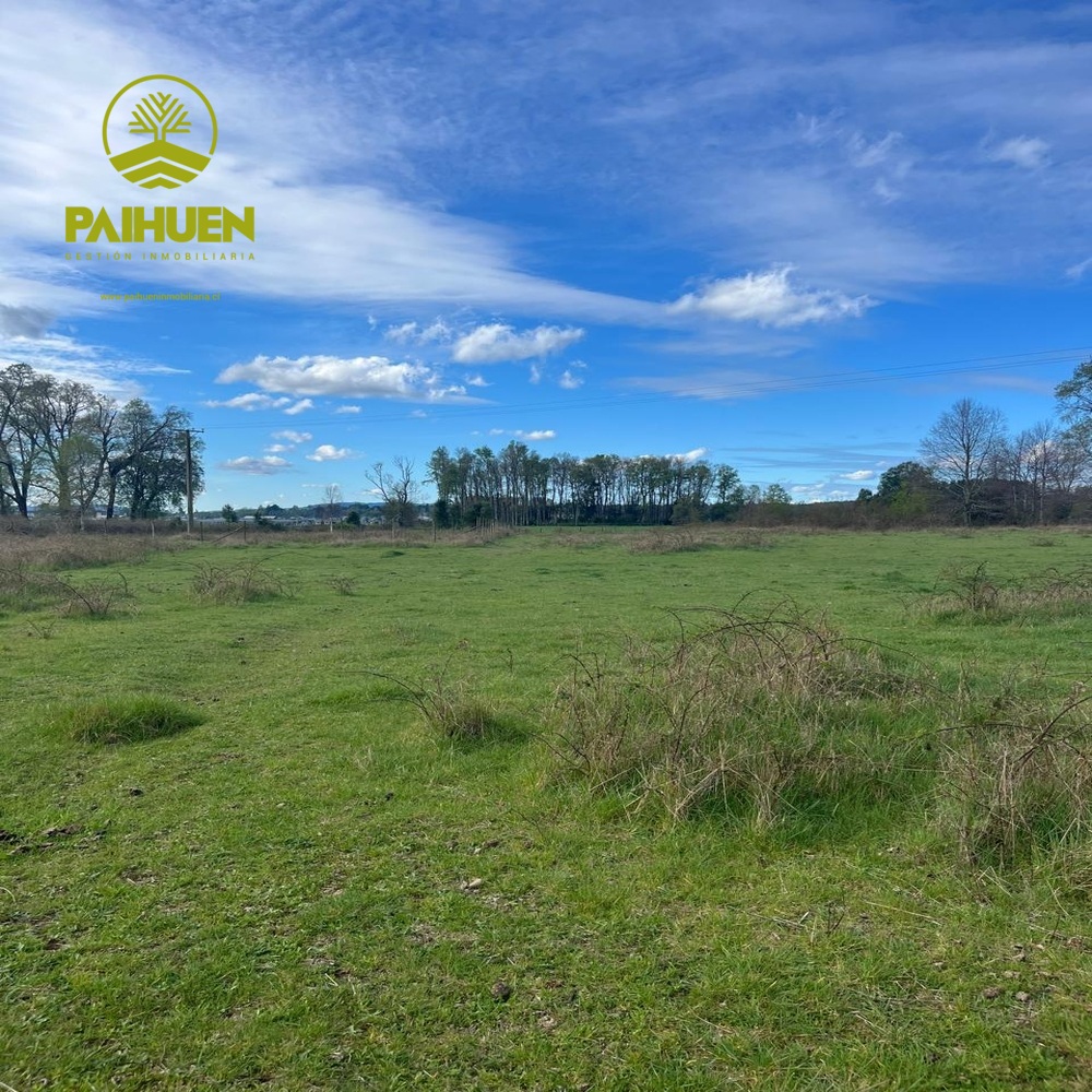 Amplia Parcela de 5.000 m² en Sector Conquil – Villarrica - Imagen 2